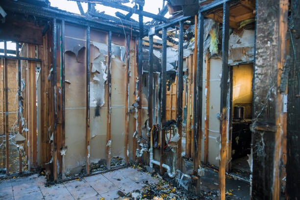Professional Smoke Damage Removal technician working in Mantua, NJ